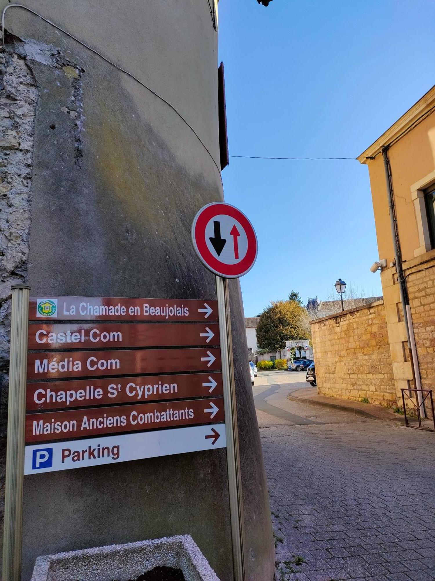 La Chamade En Beaujolais Bed & Breakfast Anse Dış mekan fotoğraf