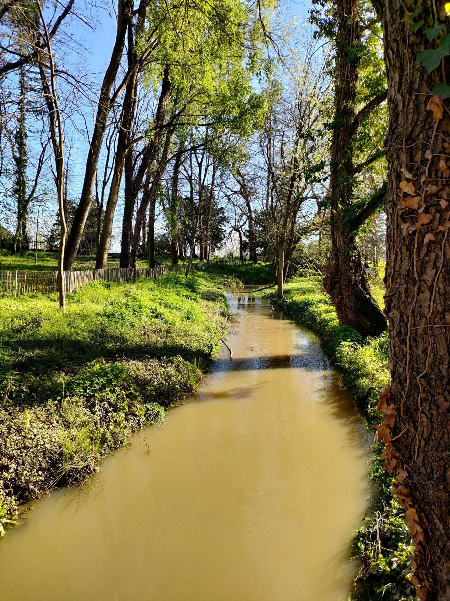 La Chamade En Beaujolais Bed & Breakfast Anse Dış mekan fotoğraf